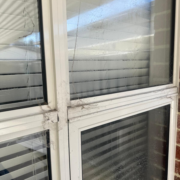 Window Cleaning - Before